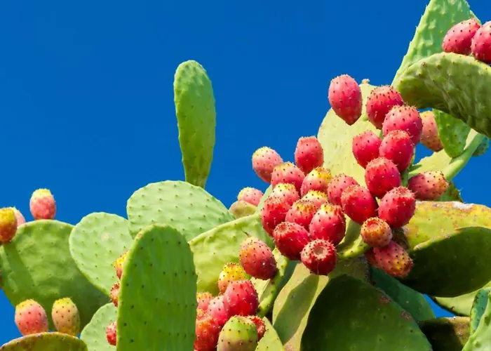 Hotel Costes Gallipoli